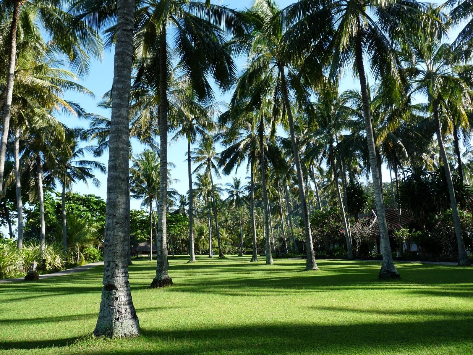 Veelzijdig Bali En Lombok | Individuele Rondreis | Rama Tours